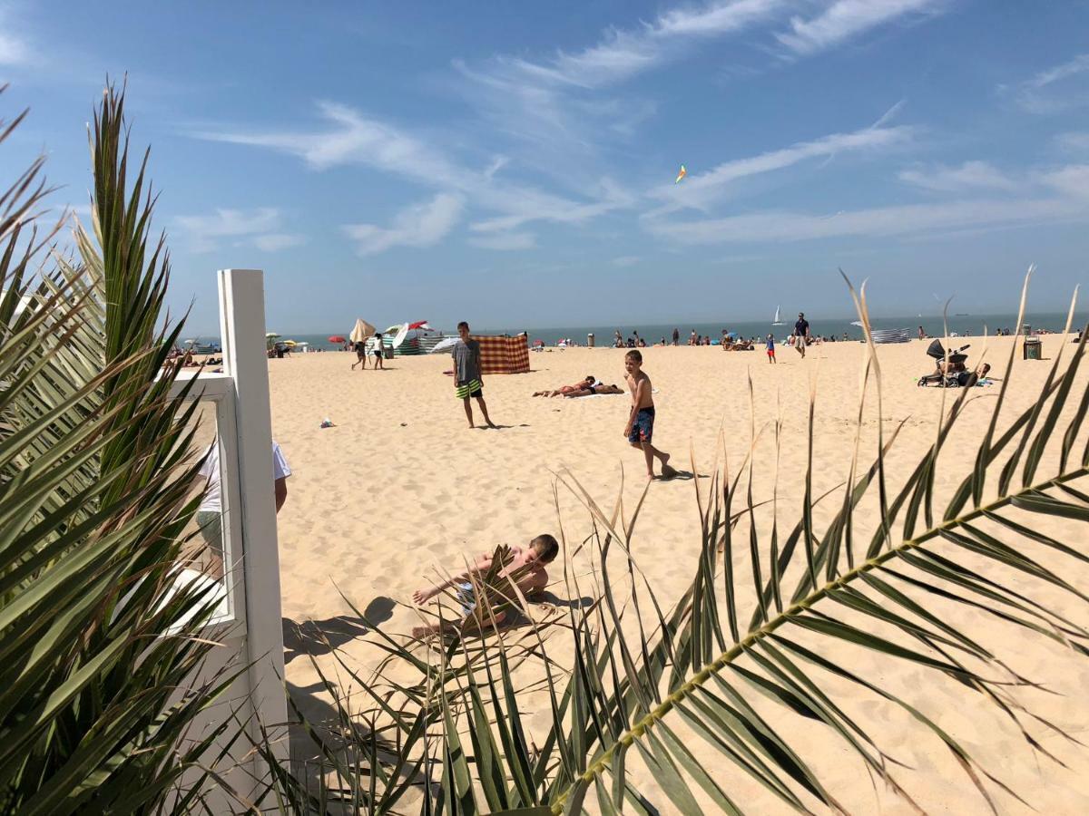Panoramic View On Beach, Ships, Sea - Place To Be 奥斯滕德 外观 照片